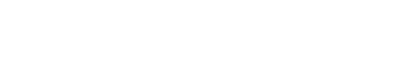 WGN RADIO LOGO